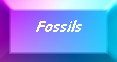 fossils